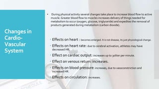 Changes in
Cardio-
Vascular
System
 Effects on heart : becomes enlarged. It is not disease, its just physiological change.
 Effects on heart rate: due to cerebral activation, athletes may have
decreased HR.
 Effect on cardiac output: increases up to 30liter per minute.
 Effect on venous return: increases.
 Effects on blood pressure: increases, due to vasoconstriction and
increased HR.
 Effects on circulation: increases.
• During physical activity several changes take place to increase blood flow to active
muscle.Greater blood flow to muscles increases delivery of things needed for
metabolism to occur (oxygen, glucose, triglyceride) and expedites the removal of
products generated during metabolism (carbon dioxide).
 