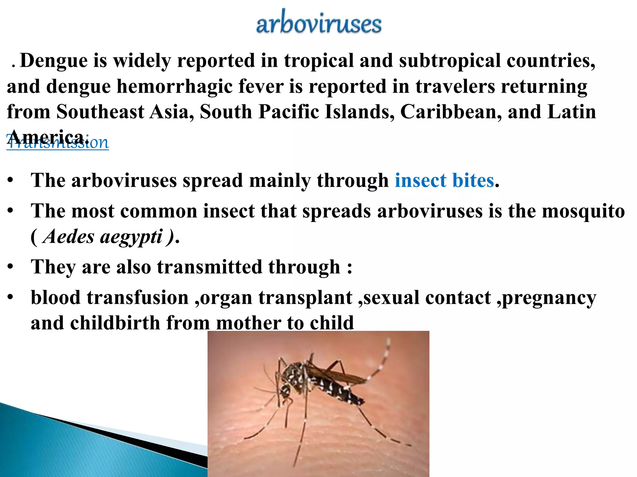 • The arboviruses spread mainly through insect bites.
• The most common insect that spreads arboviruses is the mosquito
( Aedes aegypti ).
• They are also transmitted through :
• blood transfusion ,organ transplant ,sexual contact ,pregnancy
and childbirth from mother to child
Transmission
. Dengue is widely reported in tropical and subtropical countries,
and dengue hemorrhagic fever is reported in travelers returning
from Southeast Asia, South Pacific Islands, Caribbean, and Latin
America.
 