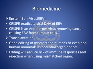 Biomedicine
Epstein Barr Virus(EBV)
• CRISPR eradicate viral DNA of EBV
• CRISPR is an Anti-herpes virus removing cancer
causing EBV from tumour cells.
Transplantation
• Gene editing of mismatched humans or even non
human mammals as potential organ donors.
• Editing will reduce risk of immune responses and
rejection when using mismatched organ.
 