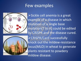 Few examples
Sickle cell anemia is a great
example of a disease in which
mutation of a single base
mutation(T to A) could be edited
by CRISPR and the disease cured.
CRISPR/Cas9 successfully
knock out the mildew-resistance
locus(MLO) in wheat to generate
plants resistant to powdery
mildew disease.
 