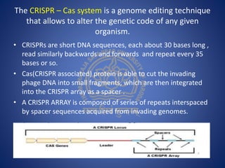 The CRISPR – Cas system is a genome editing technique
that allows to alter the genetic code of any given
organism.
• CRISPRs are short DNA sequences, each about 30 bases long ,
read similarly backwards and forwards and repeat every 35
bases or so.
• Cas(CRISPR associated) protein is able to cut the invading
phage DNA into small fragments, which are then integrated
into the CRISPR array as a spacer .
• A CRISPR ARRAY is composed of series of repeats interspaced
by spacer sequences acquired from invading genomes.
 