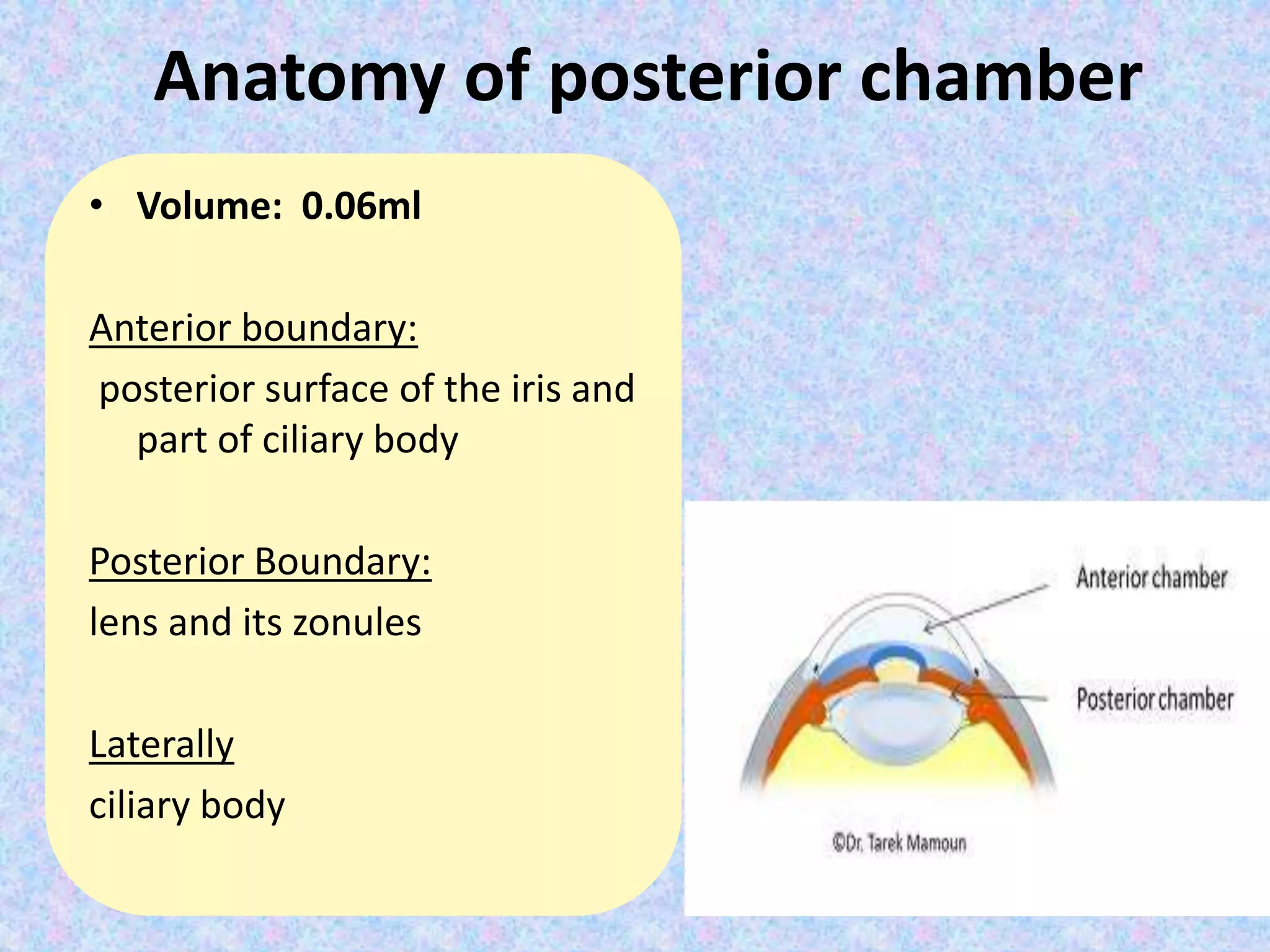 Anatomy of posterior chamber
• Volume: 0.06ml
Anterior boundary:
posterior surface of the iris and
part of ciliary body
Posterior Boundary:
lens and its zonules
Laterally
ciliary body
 