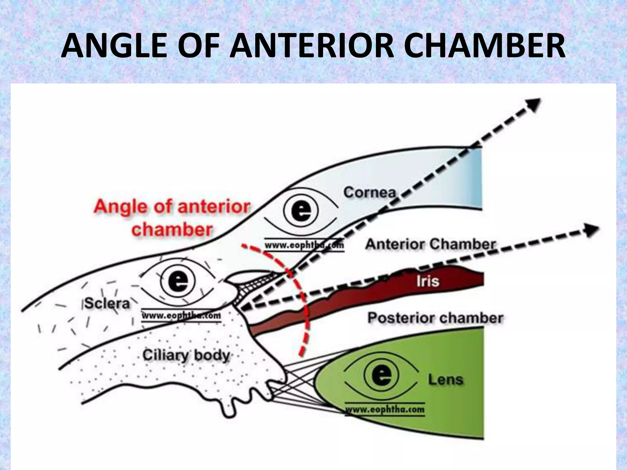ANGLE OF ANTERIOR CHAMBER
 