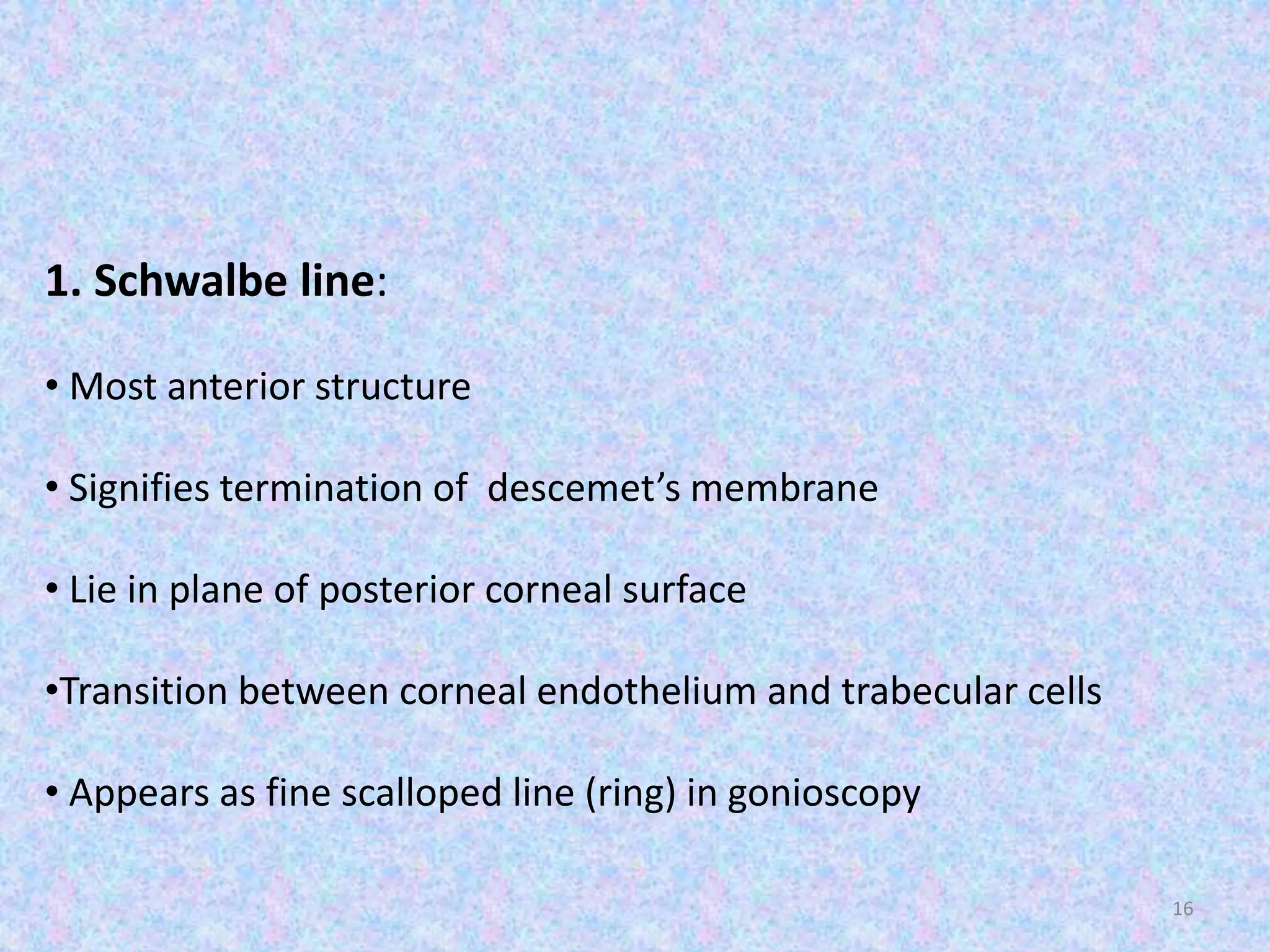 16
1. Schwalbe line:
• Most anterior structure
• Signifies termination of descemet’s membrane
• Lie in plane of posterior corneal surface
•Transition between corneal endothelium and trabecular cells
• Appears as fine scalloped line (ring) in gonioscopy
 