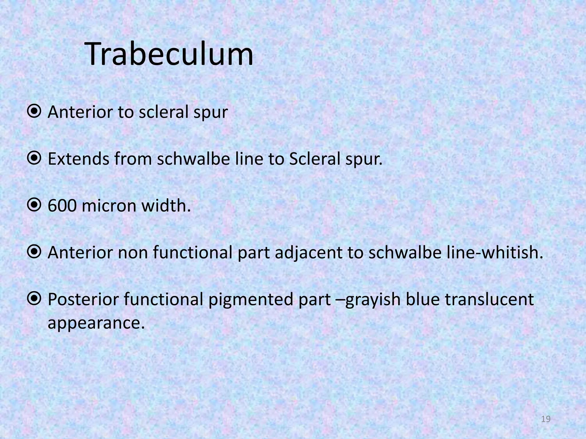 Trabeculum
 Anterior to scleral spur
 Extends from schwalbe line to Scleral spur.
 600 micron width.
 Anterior non functional part adjacent to schwalbe line-whitish.
 Posterior functional pigmented part –grayish blue translucent
appearance.
19
 