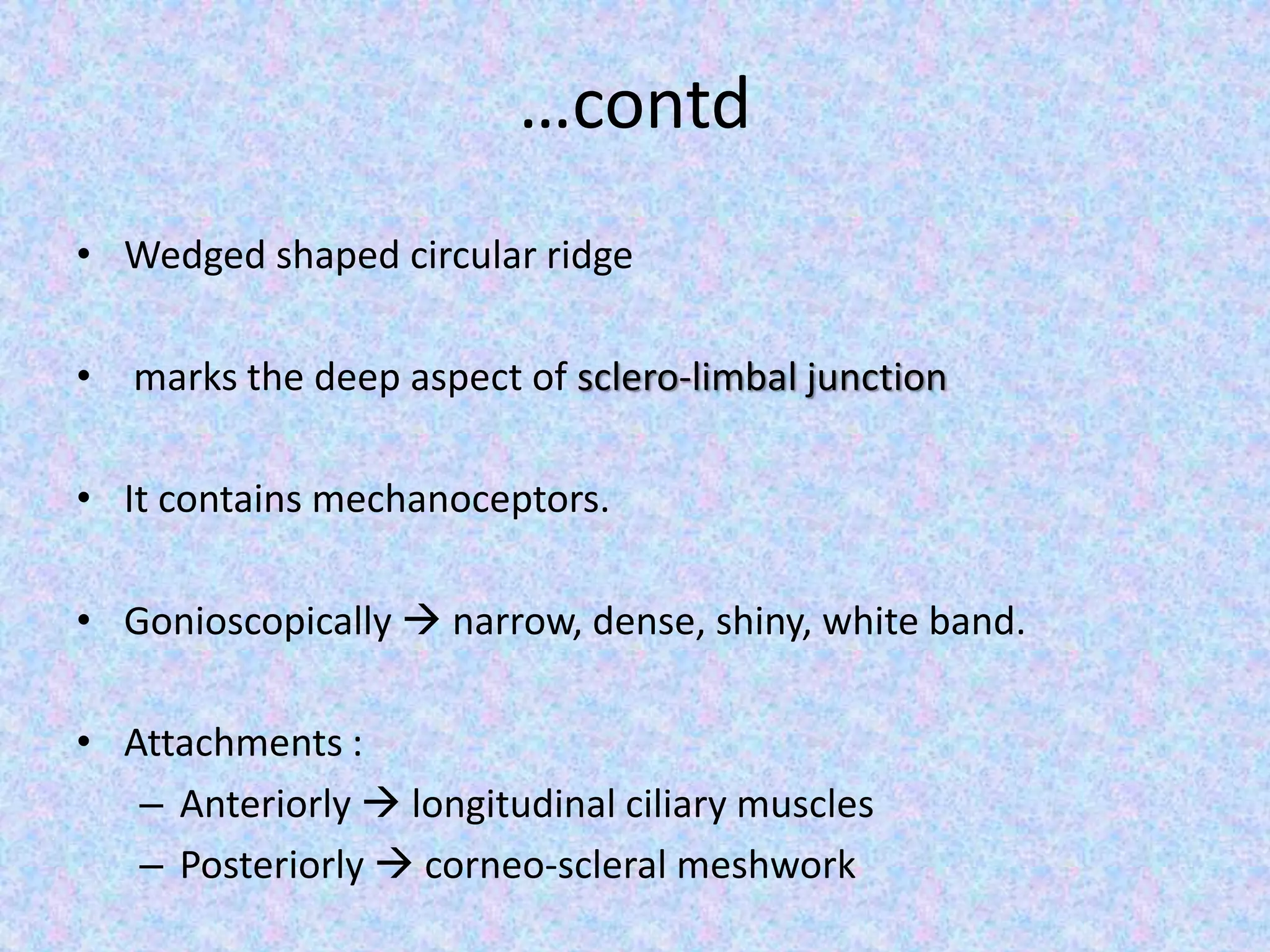 …contd
• Wedged shaped circular ridge
• marks the deep aspect of sclero-limbal junction
• It contains mechanoceptors.
• Gonioscopically  narrow, dense, shiny, white band.
• Attachments :
– Anteriorly  longitudinal ciliary muscles
– Posteriorly  corneo-scleral meshwork
 