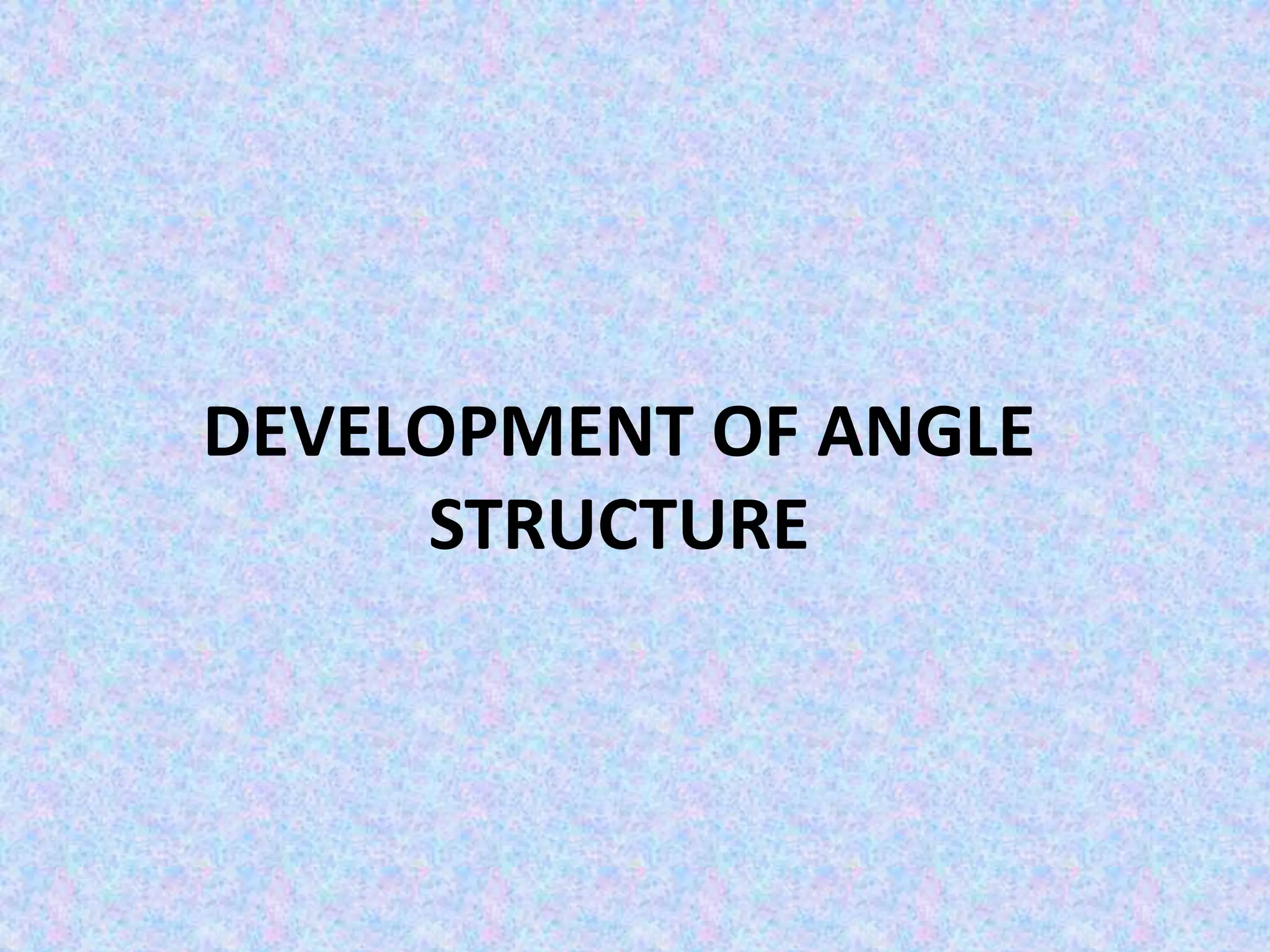 DEVELOPMENT OF ANGLE
STRUCTURE
 