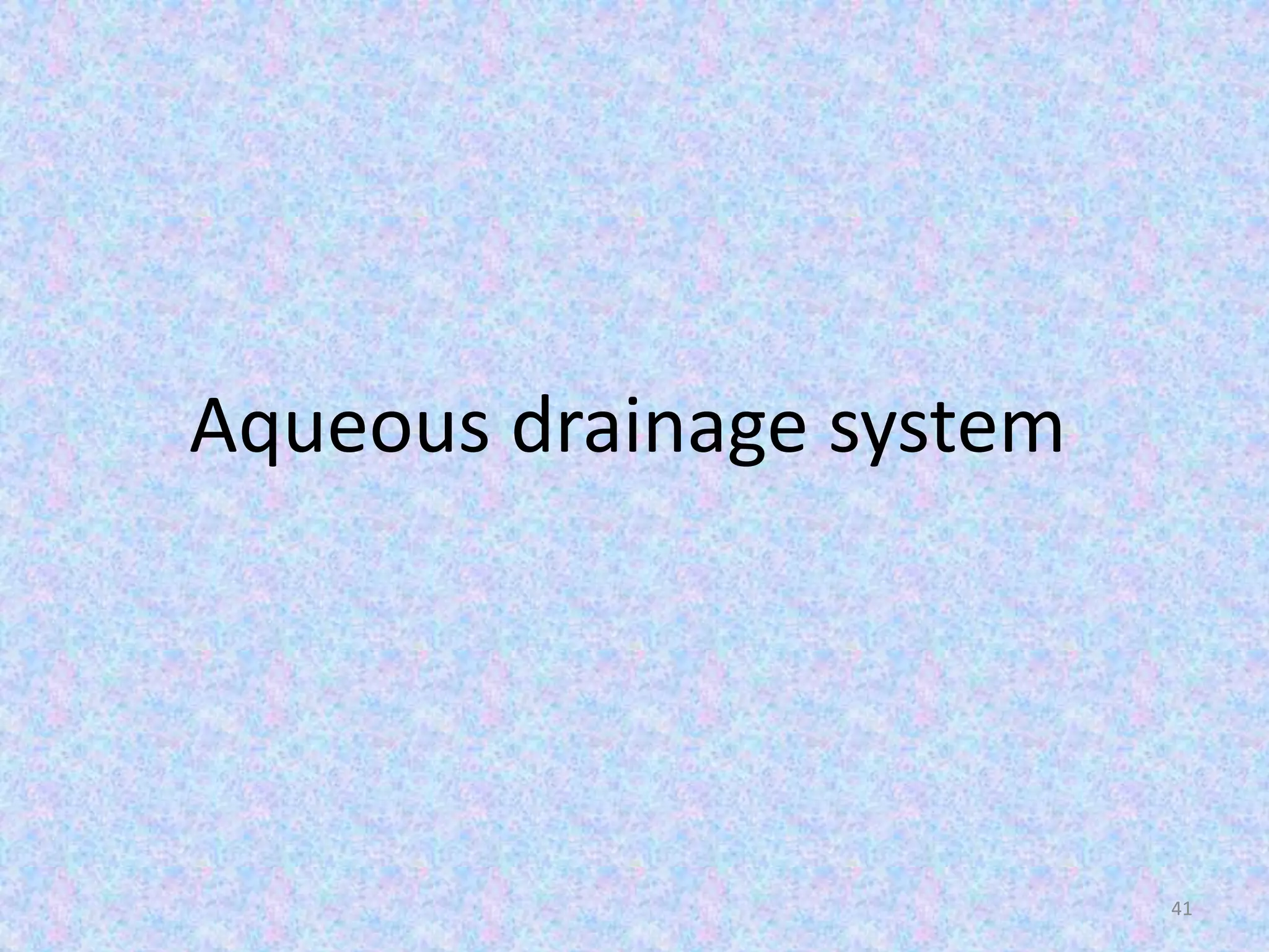 Aqueous drainage system
41
 