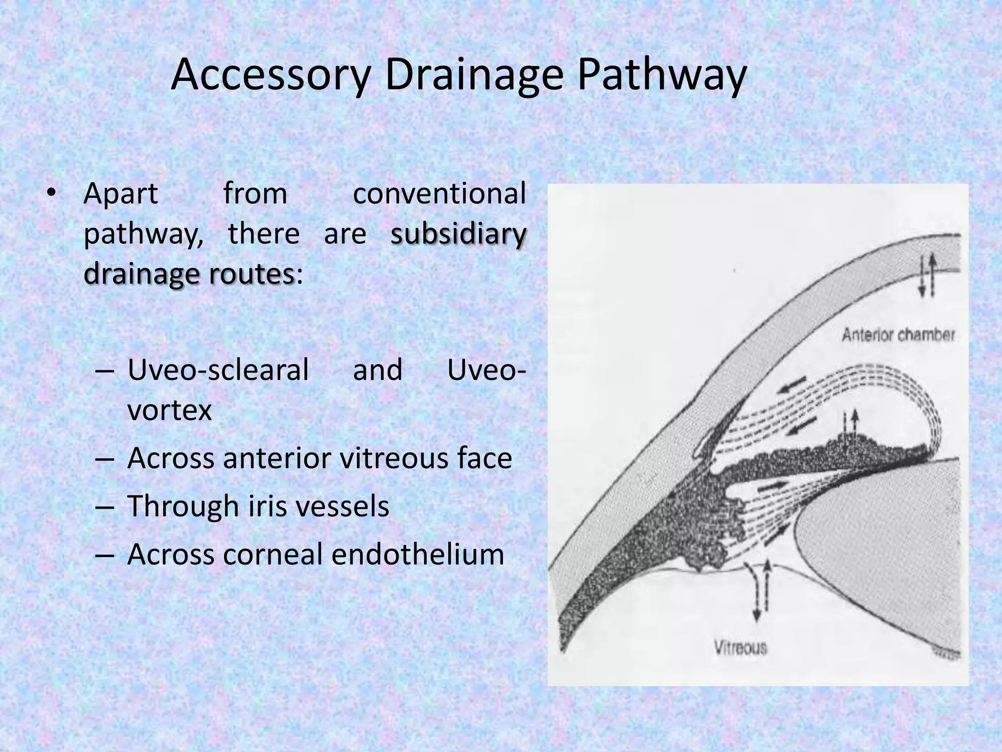 Accessory Drainage Pathway
• Apart from conventional
pathway, there are subsidiary
drainage routes:
– Uveo-sclearal and Uveo-
vortex
– Across anterior vitreous face
– Through iris vessels
– Across corneal endothelium
 