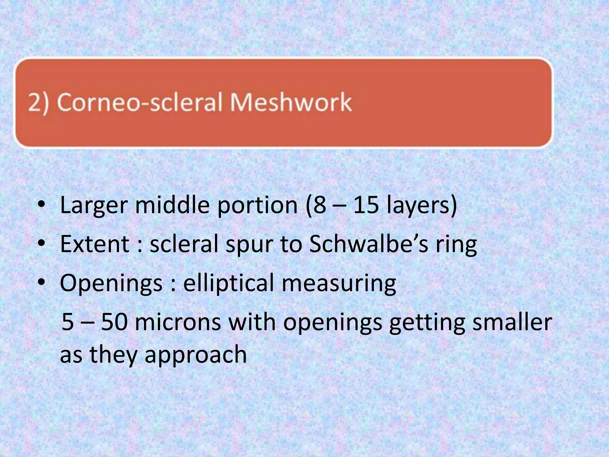 • Larger middle portion (8 – 15 layers)
• Extent : scleral spur to Schwalbe’s ring
• Openings : elliptical measuring
5 – 50 microns with openings getting smaller
as they approach
 