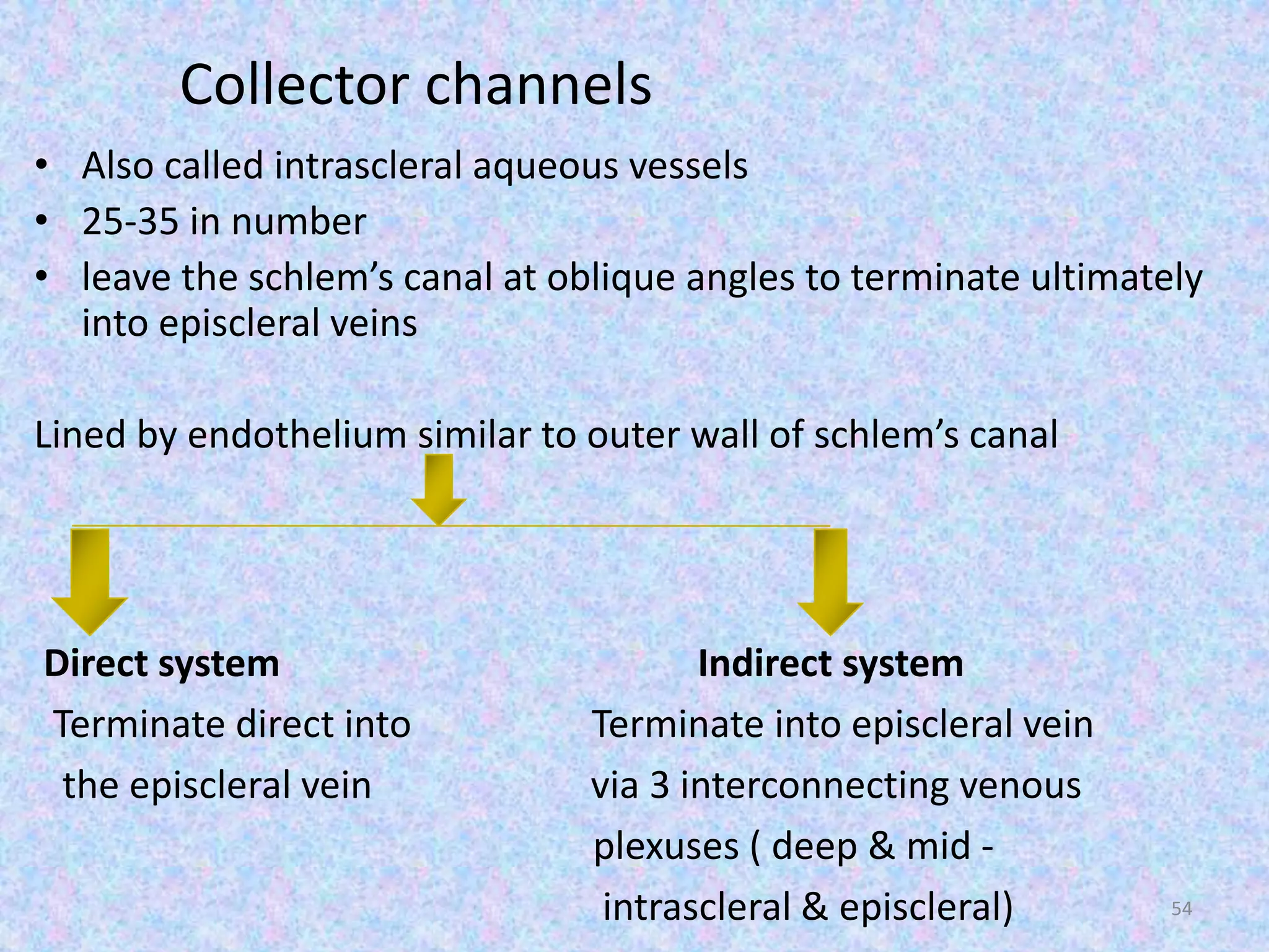 Collector channels
• Also called intrascleral aqueous vessels
• 25-35 in number
• leave the schlem’s canal at oblique angles to terminate ultimately
into episcleral veins
Lined by endothelium similar to outer wall of schlem’s canal
Direct system Indirect system
Terminate direct into Terminate into episcleral vein
the episcleral vein via 3 interconnecting venous
plexuses ( deep & mid -
intrascleral & episcleral) 54
 