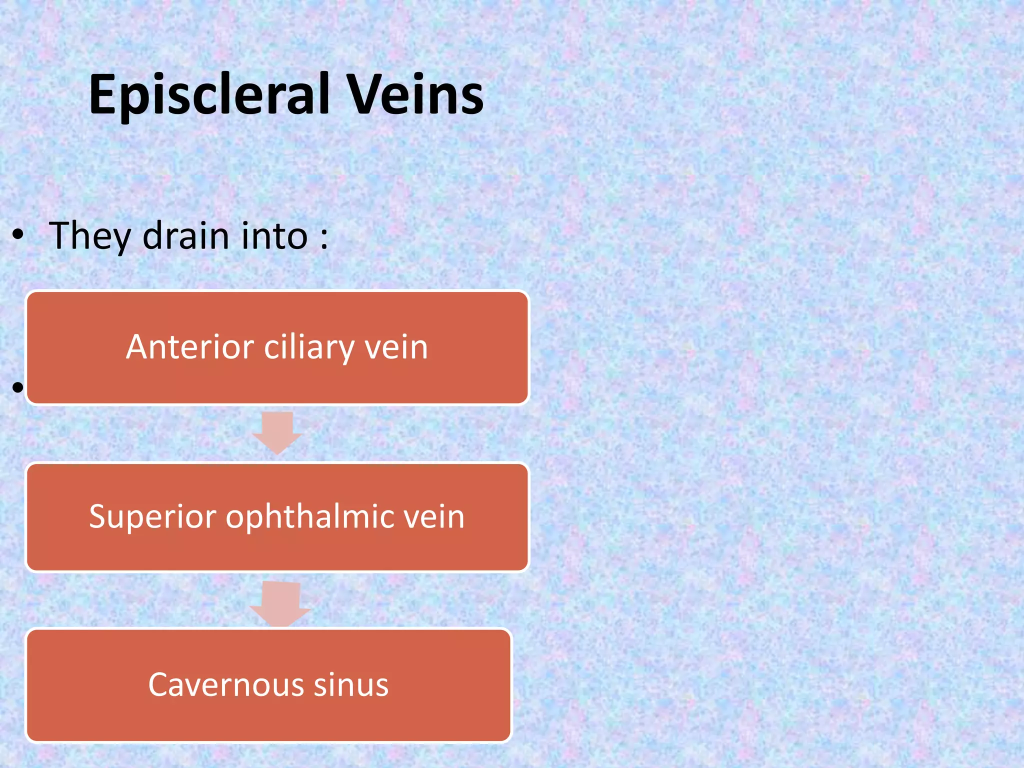 Episcleral Veins
• They drain into :
•
Anterior ciliary vein
Superior ophthalmic vein
Cavernous sinus
 