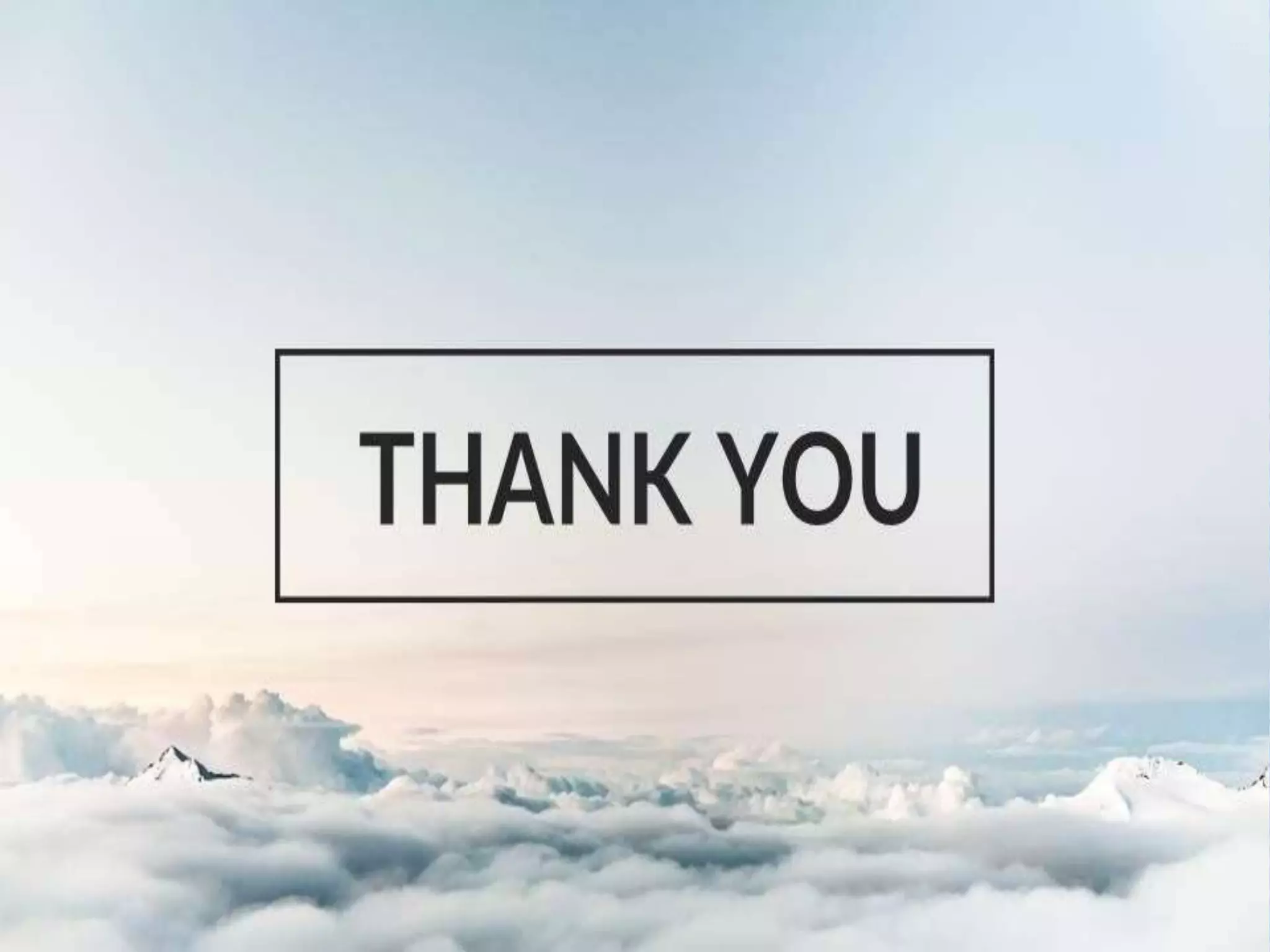  angle structure anatomy& IOP