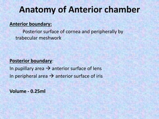 Interocular Area angle structure anatomy& IOP | PPTX