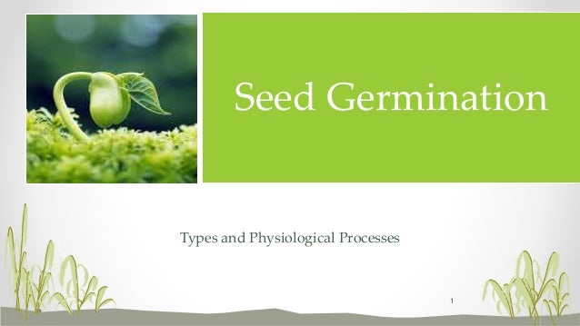 Seed Germination