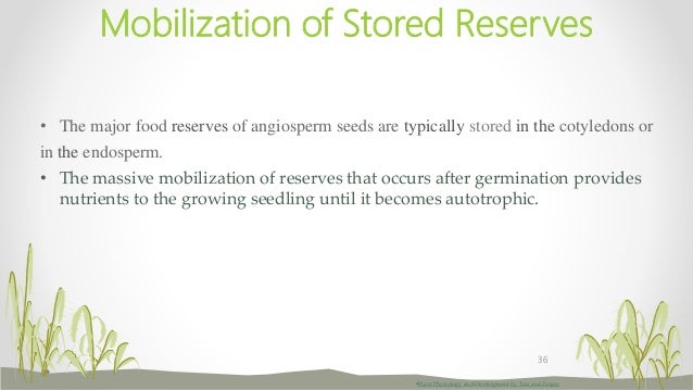 Seed Germination Seed Germination