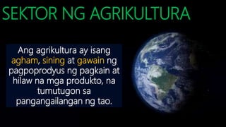 SEKTOR NG AGRIKULTURA
Ang agrikultura ay isang
agham, sining at gawain ng
pagpoprodyus ng pagkain at
hilaw na mga produkto, na
tumutugon sa
pangangailangan ng tao.
 