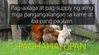SEKTOR NG AGRIKLTURA 