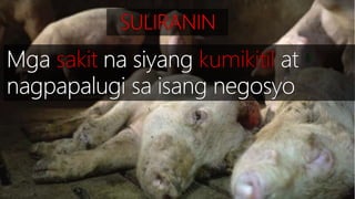 SEKTOR NG AGRIKLTURA 