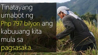 SEKTOR NG AGRIKLTURA 