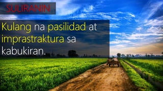 SEKTOR NG AGRIKLTURA 