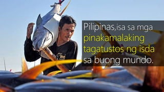 SEKTOR NG AGRIKLTURA 