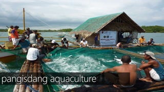 SEKTOR NG AGRIKLTURA 
