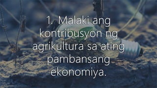 SEKTOR NG AGRIKLTURA 