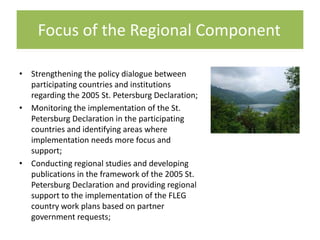 Focus of the Regional Component
• Strengthening the policy dialogue between
participating countries and institutions
regarding the 2005 St. Petersburg Declaration;
• Monitoring the implementation of the St.
Petersburg Declaration in the participating
countries and identifying areas where
implementation needs more focus and
support;
• Conducting regional studies and developing
publications in the framework of the 2005 St.
Petersburg Declaration and providing regional
support to the implementation of the FLEG
country work plans based on partner
government requests;

 