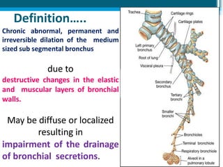 Definition…..
Chronic abnormal, permanent and
irreversible dilation of the medium
sized sub segmental bronchus
due to
destructive changes in the elastic
and muscular layers of bronchial
walls.
May be diffuse or localized
resulting in
impairment of the drainage
of bronchial secretions.
 