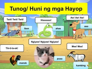 Tunog/ Huni ng mga Hayop
Twit! Twit! Twit! Hissssss!
Aw! Aw! Aw!
Tik-ti-la-ok!
Ngiyaw! Ngiyaw! Ngiyaw!
Mee! Mee!
ibon ahas
aso
manok
pusa
kambing