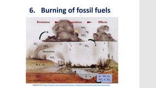 6. Burning of fossil fuels
Adapted from https://research.cbc.osu.edu/reel/research-modules/environmental-chemistry/methods/ph
 