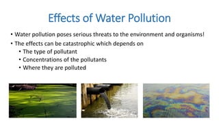 Effects of Water Pollution
• Water pollution poses serious threats to the environment and organisms!
• The effects can be catastrophic which depends on
• The type of pollutant
• Concentrations of the pollutants
• Where they are polluted
 