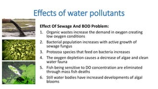 Effects of water pollutants
Effect Of Sewage And BOD Problem:
1. Organic wastes increase the demand in oxygen creating
low oxygen conditions
2. Bacterial population increases with active growth of
sewage fungus
3. Protozoa species that feed on bacteria increases
4. The oxygen depletion causes a decrease of algae and clean
water fauna
5. Fish being sensitive to DO concentration are eliminated
through mass fish deaths
6. Still water bodies have increased developments of algal
blooms
 