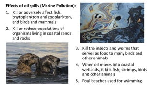 Effects of oil spills (Marine Pollution):
1. Kill or adversely affect fish,
phytoplankton and zooplankton,
and birds and mammals
2. Kill or reduce populations of
organisms living in coastal sands
and rocks
3. Kill the insects and worms that
serves as food to many birds and
other animals
4. When oil moves into coastal
wetlands, it kills fish, shrimps, birds
and other animals
5. Foul beaches used for swimming
 