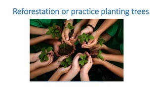 Reforestation or practice planting trees.
(https://www.aspiretrainingteam.co.uk/wp-content/uploads/2018/11/trees.jpg)
 