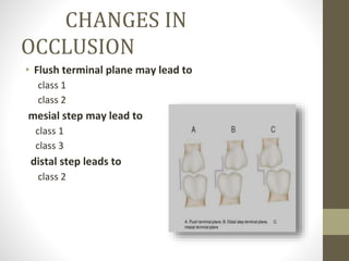 Development of occlusion | PPT