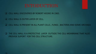 cell wall structure and function | PPTX