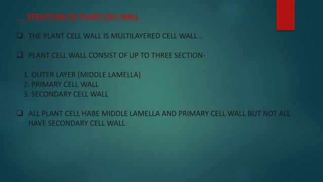 cell wall structure and function | PPT