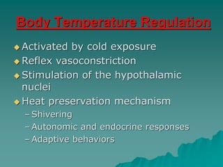 COLD INJURIES: DESCRIPTION, TREATMENT AND PREVENTION | PDF