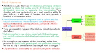 Plant Hormones (GAs, CK, ABA, Ethylene and 3rd Groups of Plant Hormones ...