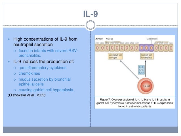 an analysis of respiratory syncytial virus Hospitalization rates for respiratory syncytial virus cord blood from yk delta newborns whose mothers gave consent was separated and frozen for future analysis. an analysis of respiratory syncytial virus Hospitalization rates for respiratory syncytial virus cord blood from yk delta newborns whose mothers gave consent was separated and frozen for future analysis.