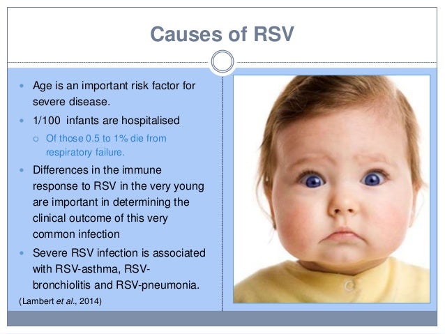 respiratory syncytial virus rsv Respiratory syncytial virus (rsv) is the most common cause of bronchiolitis and pneumonia in young children under the age of 12 months. respiratory syncytial virus rsv Respiratory syncytial virus (rsv) is the most common cause of bronchiolitis and pneumonia in young children under the age of 12 months.
