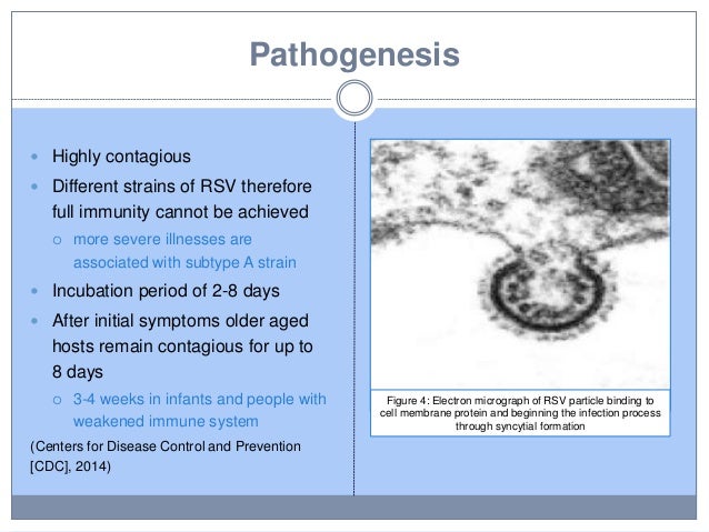 Is RSV contagious?