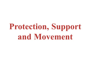 Protection, Support
and Movement
 