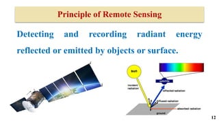 APPLICATION OF REMOTE SENSING IN FRUIT PRODUCTION.pptx