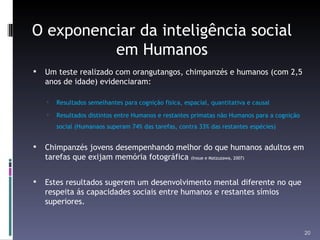O exponenciar da inteligência social em Humanos Um teste realizado com orangutangos, chimpanzés e humanos (com 2,5 anos de idade) evidenciaram: Resultados semelhantes para cognição fisica, espacial, quantitativa e causal Resultados distintos entre Humanos e restantes primatas não Humanos para a cognição social (Humanaos superam 74% das tarefas, contra 33% das restantes espécies) Chimpanzés jovens desempenhando melhor do que humanos adultos em tarefas que exijam memória fotográfica  (Inoue e Matzuzawa, 2007)  Estes resultados sugerem um desenvolvimento mental diferente no que respeita ás capacidades sociais entre humanos e restantes símios superiores. 