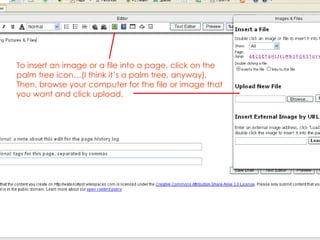 To insert an image or a file into a page, click on the palm tree icon…(I think it’s a palm tree, anyway), Then, browse your computer for the file or image that you want and click upload.  
