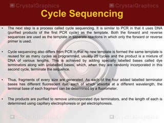 Bacterial Identification by 16s rRNA Sequencing.ppt