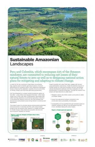 Sustainable Amazonian Landscapes - poster